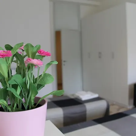 Апартаменты Stephenson *